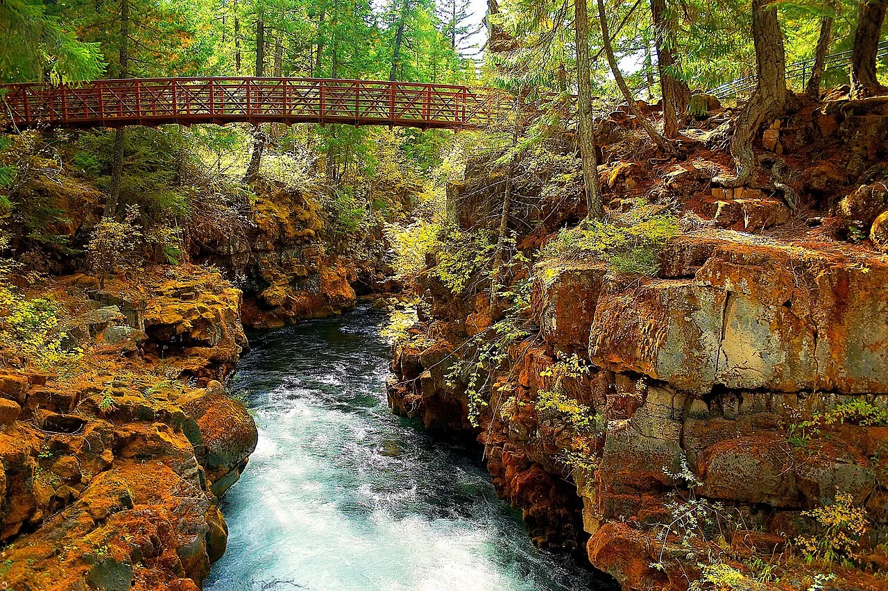 A footbridge crossing a rocky stream in a forest