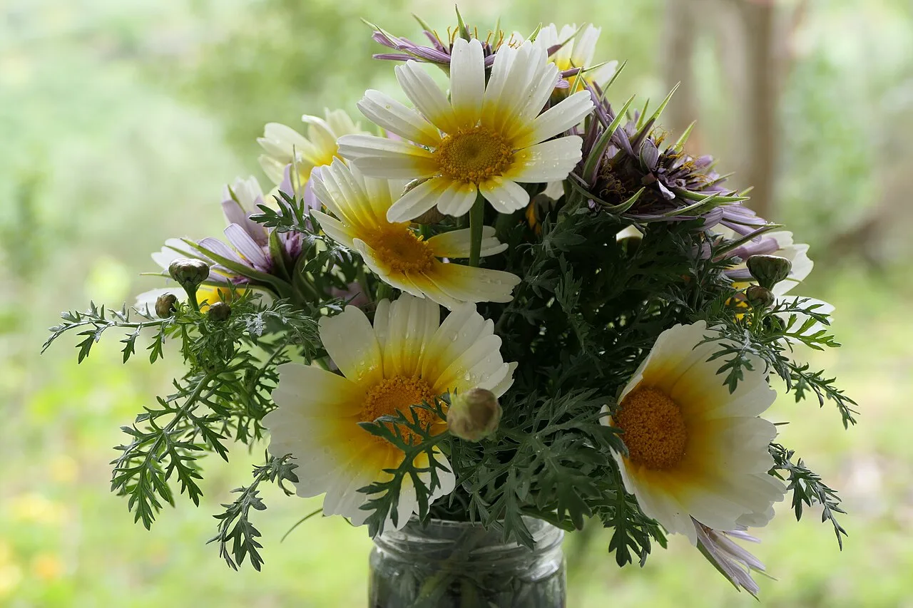 A small bouquet of white daisies and wildflowers