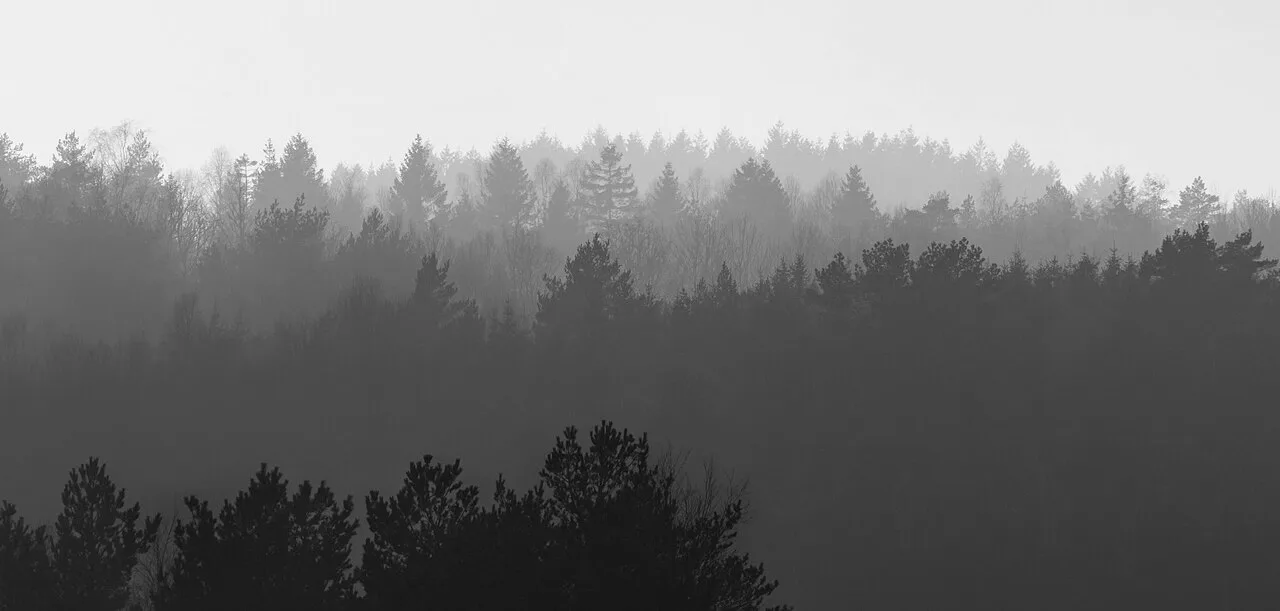 Layers of forested hills fading into fog