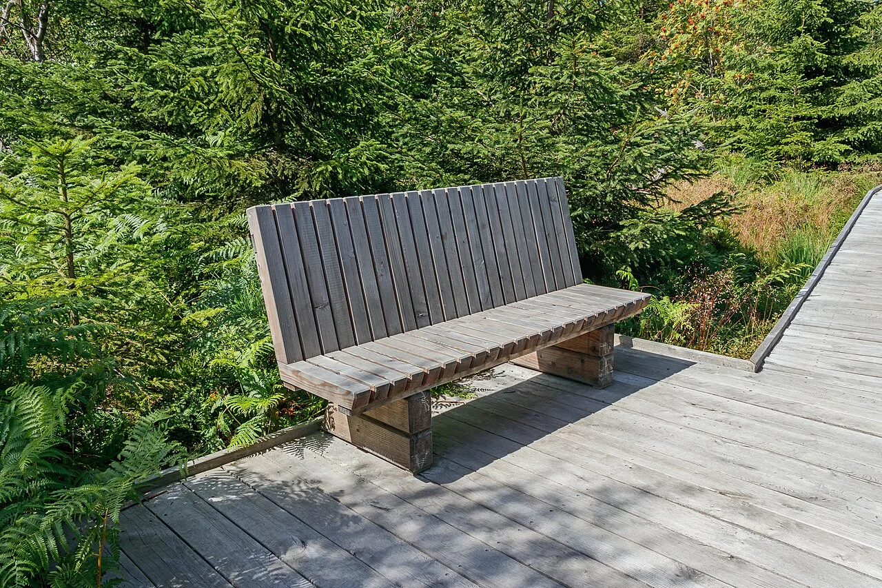 An empty bench beside a wooden path in a garden