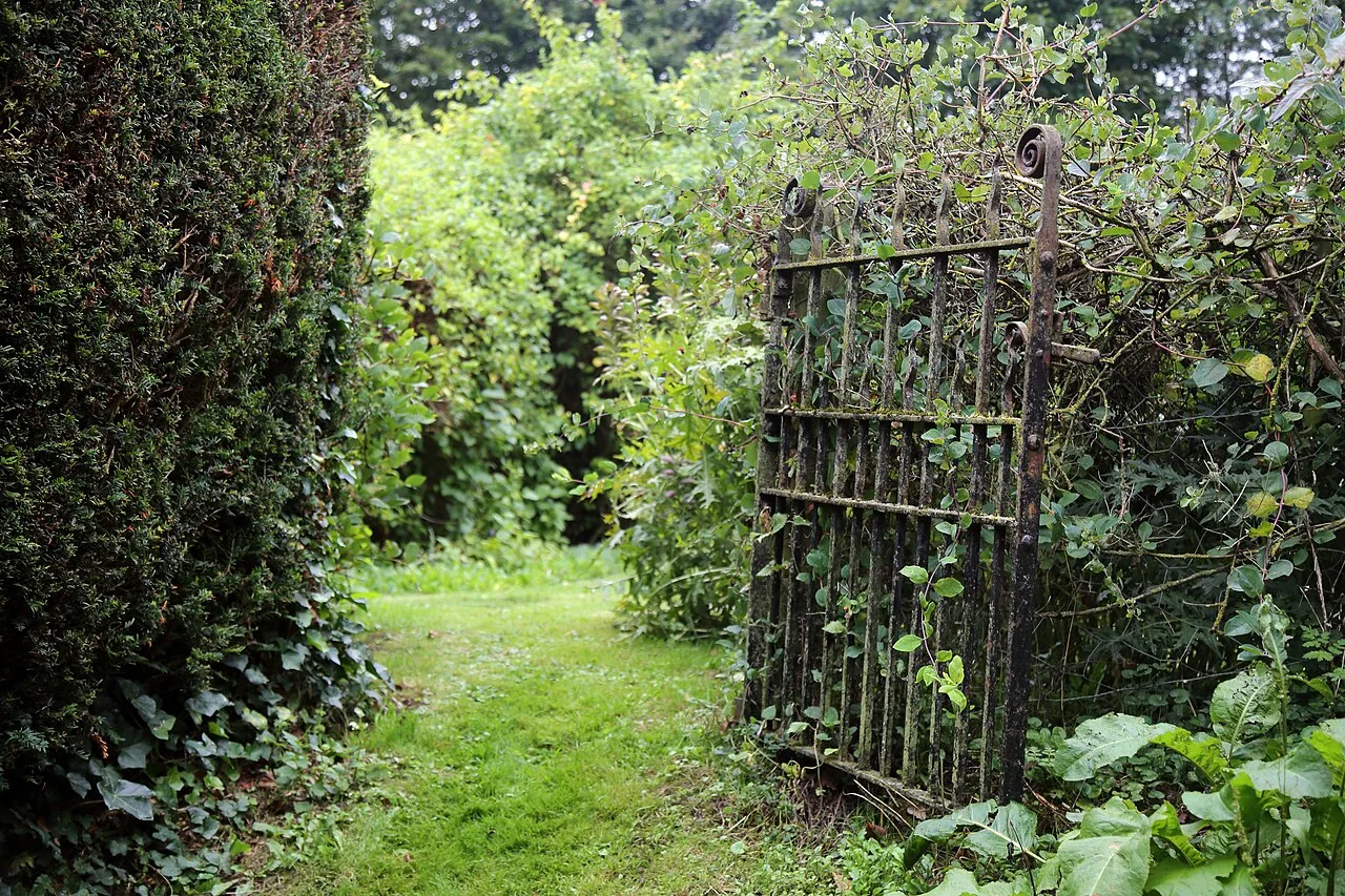 An open garden gate framed by climbing plants
