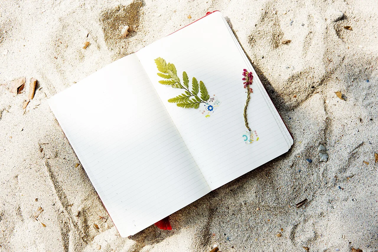 An open notebook with botanical drawings resting on sand