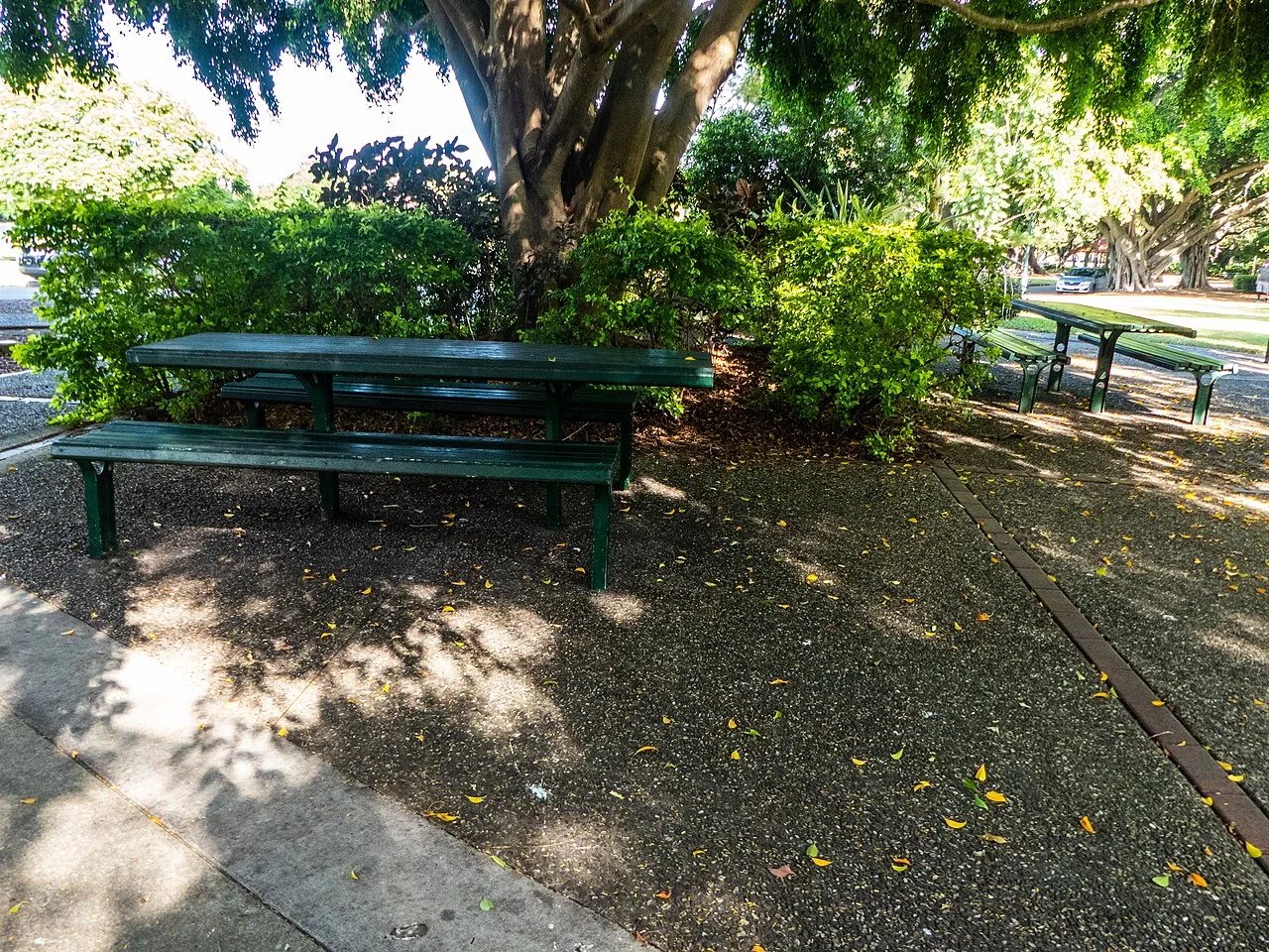 A shaded picnic table beneath leafy trees