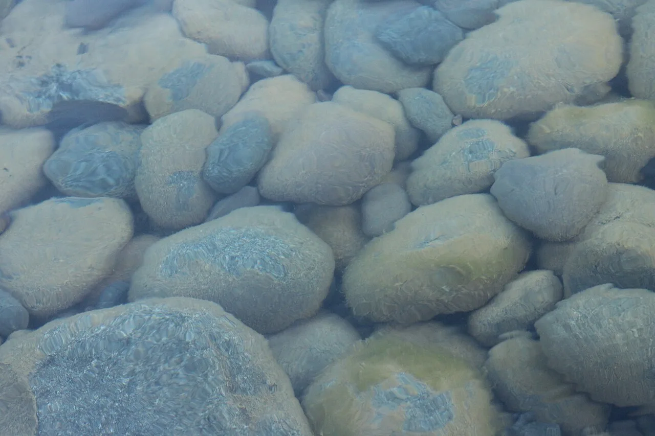 Smooth pebbles visible beneath clear shallow water