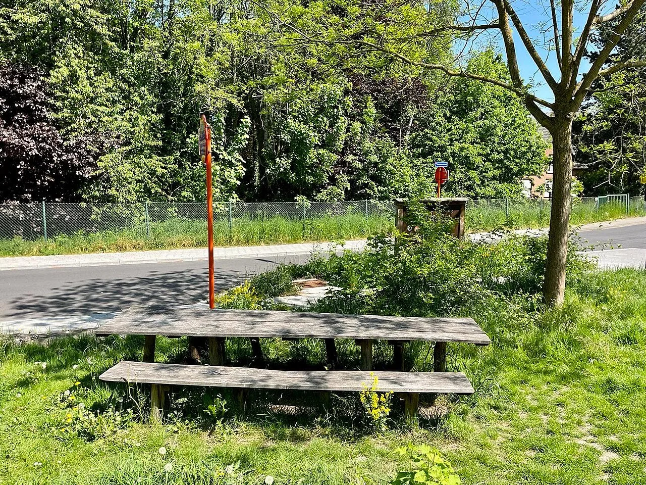 A wooden picnic table beneath a small tree