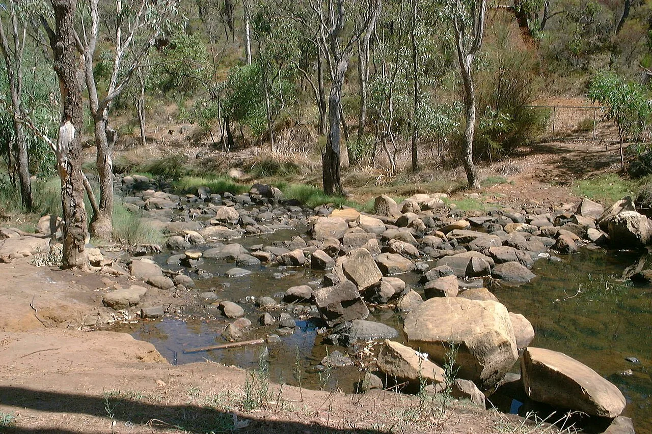 Stepping stones crossing a shallow stream in woodland