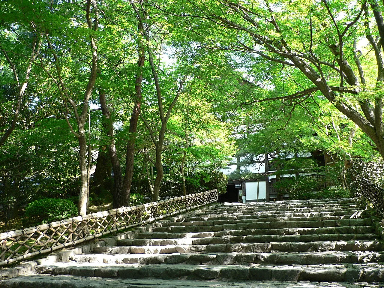 A broad flight of stone steps leading through green trees