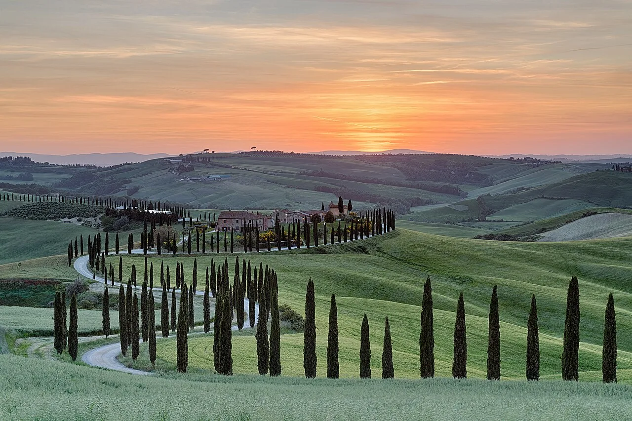 A cypress-lined path crossing green hills at sunset