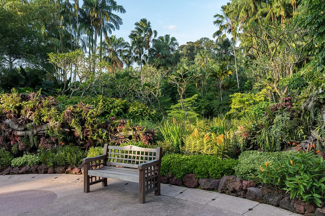 A wooden bench among lush garden plants