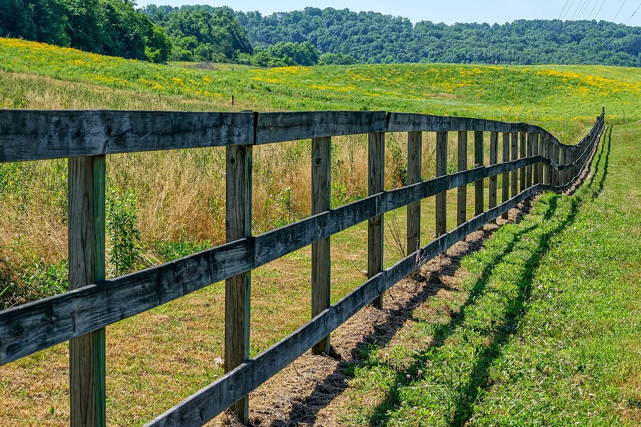 A wooden fence following the edge of a green field